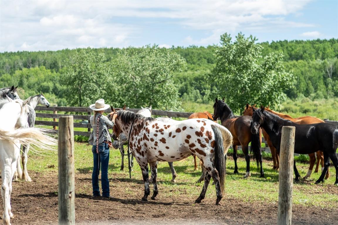 Sturgeon River Ranch