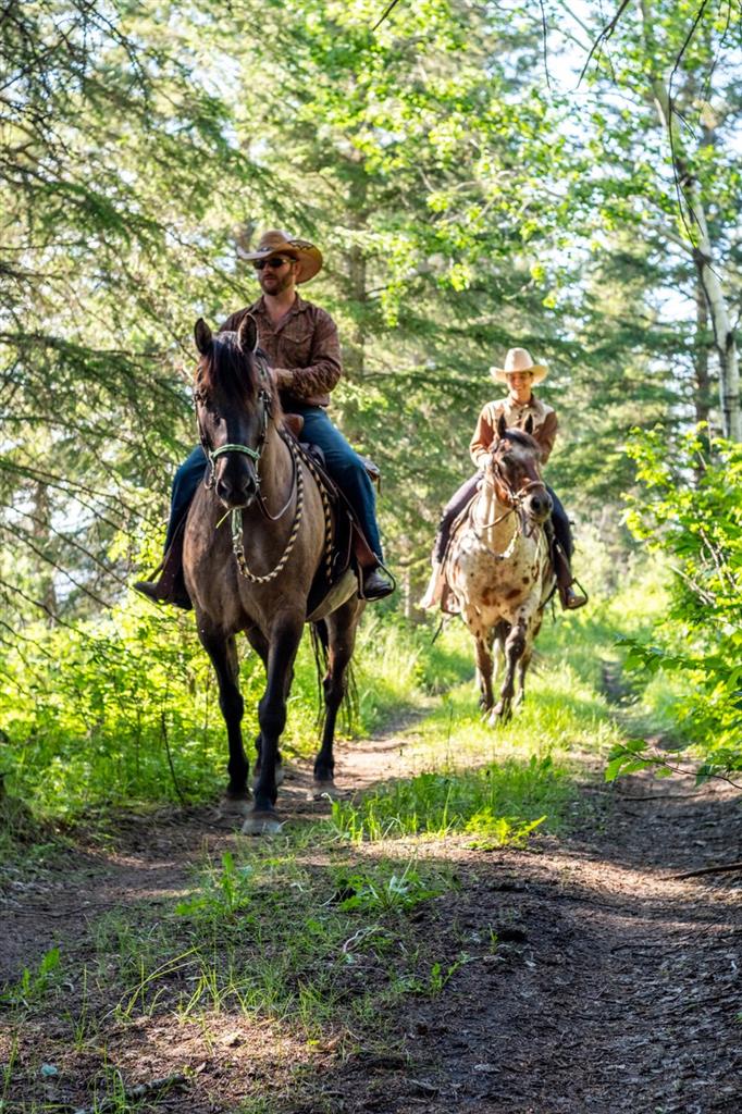 Sturgeon River Ranch