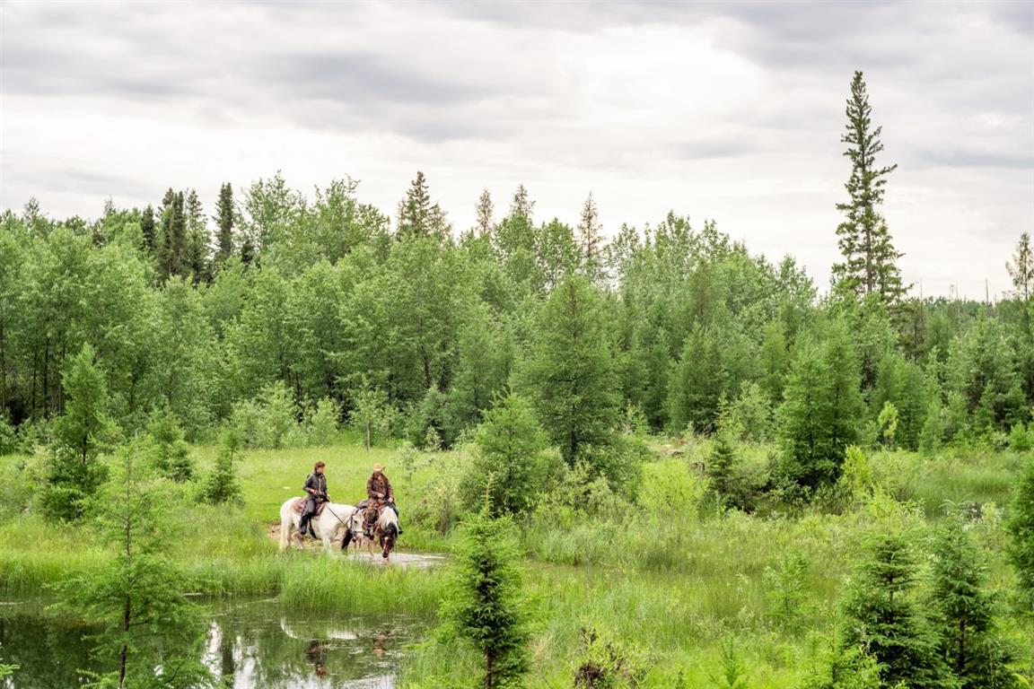 Sturgeon River Ranch