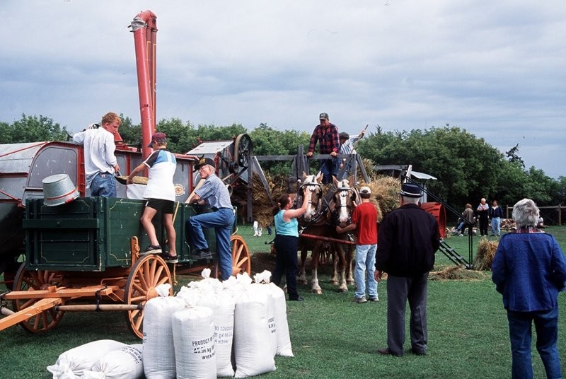 Everyone pitches in at our Threshing Day Special Event